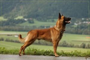 DSC_8351-BorderMaker