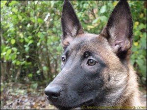 Leila: 13-11-2010