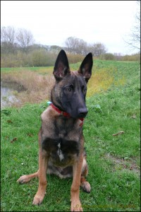 Rambo: 13-11-2010