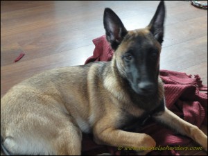Reus: 13-11-2010