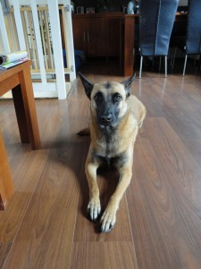 Reus 2012